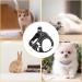 Frevoitna Cat Dishes with Leash - Adjustable Cat Harness Reflective & Breathable - Ideal for Walks (Black XS) - International Shipping Available - Buy Online on GoSupps.com