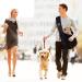 Tragot Dog & Cat Shoulder Bag - Travel Pet Carrier with Front Pocket for Dogs & Cats up to 5kg - Buy Online on GoSupps.com