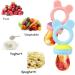Baby Fruit Food Feeder Pacifier Teether Set with Silicone Bags and Teething Toys - Buy Online on GoSupps.com