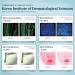 GYH Led Face Light Therapy Mask Red Light Therapy LED Face Mask Professional Blue Green Infrared Light Therapy Wireless&Comfortable Anti Aging & Anti Wrinkle Cloud-SS RB-037 2000mAh - Buy Online on GoSupps.com