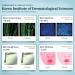 GYH LED Face Mask Light Therapy - Wireless Red & Blue Light Therapy for Skin Rejuvenation - Anti-ageing Cloud-S (RB-002) - Buy Online on GoSupps.com