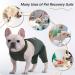 Kuoser Dog Recovery Suit for Male Dogs | Anti-Licking & E-Collar Alternative | Post-Op Body Suit for Dog Castration & Healing - Buy Online on GoSupps.com