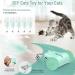 Pawaboo Interactive Cat Toys for Indoor Cats Cat Feather Toys Cat Mouse Toys Moving Automatic Cat Toy with LED Lights Rechargeable Electric Cat Toy Kitten Exercise Toys with 5 Feathers Lake Blue Lake Blue Car - Buy Online on GoSupps.com