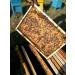Fresh Honeycomb 3 x 350g - Real Raw Honey In Comb Wooden Frame Natural Made By Bees - Buy Online on GoSupps.com