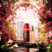 ALQVIMIA Sensuality Body Nectar Woman Body Oil 50 ml AC70608 - Buy Online on GoSupps.com