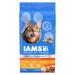 IAMS PROACTIVE HEALTH HEALTHY ENJOYMENT Adult Dry Cat Food Chicken & Salmon Recipe 1.36kg Bag 1.36 kg (Pack of 1)