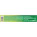 Close Up Menthol Paradise Toothpaste 90g - Fresh Breath & Minty Flavor | Buy Online Internationally - Buy Online on GoSupps.com