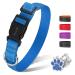 PCOTLLAR Dog collar padded reflective dog collar for small dogs adjustable dog collar for large dog soft neoprene collars blue (40-50cm) m (40-50cm) blue