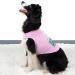 Summer Dog Shirts for Large Dogs - Soft Stretchy Puppy Clothes in Pink & Blue | X-Large Sizes Available - Buy Online on GoSupps.com