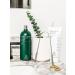 Terra & Co. Ayurvedic Oil Pulling Mouthwash - Vegan, Alcohol-Free, Fluoride-Free, 200ml Green Oil for Oral Health - Buy Online on GoSupps.com