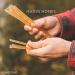 FM Native Honey Sticks - 50 Count Pack of 1 | Pure Honey in Convenient Sticks - Buy Online on GoSupps.com