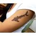 Premium Large Shark Tattoos - Fun Temporary Tattoo Party Favor - Buy Online on GoSupps.com