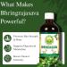 BASIC AYURVEDA Bhringrajasava Drink | 16.23 Fl Oz (480ml) | Natural Bhringraj Ayurvedic Hair Tonic | Supports Hair Growth Scalp Health & Immune System | No Added Sugar - Buy Online on GoSupps.com