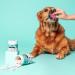Pooch & Mutt - Daily Joint Care Supplement for Large Dogs 230g Large Dogs 230g (Large Dogs) - Buy Online on GoSupps.com