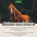 AniForte Bronchial Herbs for Horses 1kg - Natural Respiratory Support with Methylcysteine | Cough Relief & Healthy Airways - Buy Online on GoSupps.com