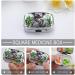 Koala Painting Small Pill Box - Metal Organizer with Lock | Portable Mini Medicine Box for Daily Vitamins | Travel-Friendly Storage for Purse & Pocket - Buy Online on GoSupps.com