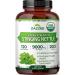 Zazzee USDA Organic Stinging Nettle 20:1 Extract 9000 mg Strength 120 Vegan Capsules 4 Month Supply Concentrated Standardized 20X Extract Certified Organic 100% Vegetarian All-Natural Non-GMO