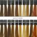 Stop & Lock Colour Preserver 1000 ml - Best International Shipping for Vibrant Hair Color Care - Buy Online on GoSupps.com