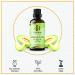 Florona Honey Dew Lemon Fragrance Oil - Premium Quality for Soap & Candle Making | 1 fl oz Aroma for Diffuser & Aromatherapy - Buy Online on GoSupps.com