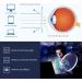 GUDVUE Blue Light Glasses - Ultra Lightweight Oval Eyewear for Men & Women | Anti-Glare UV400 Eye Strain Relief - Champagne Clear - Buy Online on GoSupps.com