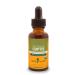 Herb Pharm Coptis Liquid Extract for Digestive Support 1 Fl oz 1 Fl Oz (Pack of 1)