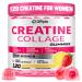 OFFPTE Creatine for Women 5000mg Creatina Monohidratada Gummies with Collagen & BCAAs for Muscle Recovery Energy & Skin Chewable Post-Workout Supplement Sugar-Free No Bloating 4 Gummies Per Day