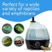 Evergreen Pet Supplies Reptile Humidifier - Large Tank Fogger for Terrariums & Amphibians - Buy Online on GoSupps.com