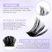 Buy 240 Individual Eyelashes: DIY Cluster Extensions 12-16mm | 60p & 80p Mix for At-Home Use - Buy Online on GoSupps.com