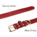 Buy Tagme Personalized Leather Dog Collar - Engraved Name & Phone for Extra Large Dogs - Coral Red XL - Buy Online on GoSupps.com