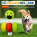 Holysteed Dog Toys for Small Dogs - Squeaky Latex Puppy Toys Soft Multicolored Burger Shape - 6 Pieces (5.5 x 3.5 cm) - Buy Online on GoSupps.com