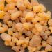 Pranarom Frankincense Essential Oil 5ml | Pure Aromatherapy Oil for Relaxation - Buy Online on GoSupps.com