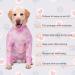 YeaPeeto One-Divider Pajamas for Large & Medium Dogs | Relaxation Wound Protection Hair Loss & Allergy Solution | 6XL Elephant - Buy Online on GoSupps.com
