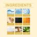 Plant-based hair dye Chestnut coloring shampoo 3-in-1 natural hair color | Total gray coverage Gentle moisturizing formula Smooth and shiny hair for men and women - Buy Online on GoSupps.com