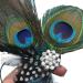 2PCS Butterfly Peacock Feather Hair Clip Pins with Pearl Rhinestones - Bridal Wedding Party Decor - Buy Online on GoSupps.com