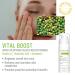 Vital Boost Evening Facial Moisturizer with Organic Red Tea Extract | Hyaluronic Acid Jojoba Oil & Gooseberry | Brighten & Even Skin Tone for Radiant Glow | 0.5 Fl Oz (Pack of 1) - Buy Online on GoSupps.com