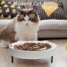 Fhiny Ceramic Slow Feeder Cat Bowl - Elevated Puzzle Dish for Stress-Free, Healthy Eating - Perfect for Indoor Cats & Small Dogs - Buy Online on GoSupps.com