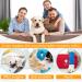 ETDANE Post-Operative Recovery Suit for Dogs | Anti-Hair Loss Long-Sleeved Bodysuit for Female & Male Dogs | Size L (Large) - Orange/Red - Buy Online on GoSupps.com