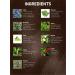 Buy Certified Organic Dark Brown Hair Color - Chemical & Allergy Free No Ammonia 100gm Pack of 2 for Men & Women - Vegetal Safe Bio Natural Hair Dye - Buy Online on GoSupps.com