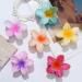 6 PCS Flower Claw Clips Large Hair Claw Clips for Thick Hair Hawaiian Hair Clips 3.1 inch Medium Claw Clips for Thin Hair Plumeria Hair Clips Strong Hold Nonslip Hair Clips Beach Hair Accessories for Women and Girls - Buy Online on GoSupps.com