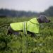 Weesiber Reflective Waterproof Dog Rain Coat | Adjustable Light Pet Jacket with Hood for Small to Large Dogs - S Green - Buy Online on GoSupps.com
