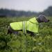 Buy Weesiber Reflective Waterproof Dog Rain Coat - Adjustable Pet Jacket with Hood for All Sizes - Light Green (L) - Buy Online on GoSupps.com