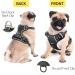 Shop Heele No-Pull Dog Harness & Medium-Sized Dog Crockery | Soft Breathable Reflective Padded Handle - Black - Buy Online on GoSupps.com