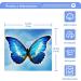 SUABO Cotton Bath Washcloths Set - Butterfly Blue Sky Design | Absorbent & Quick Drying Face Cloths for Bathroom, Spa, Gym, Kitchen - Pack of 2 - Buy Online on GoSupps.com
