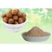 Raw Herbs/Jadi Booti Reetha Powder Ritha Powder Soapnut Powder Soap Nut Powder Acacia Concinna (100gm) 100.00 g (Pack of 1) - Buy Online on GoSupps.com