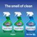 Clorox Clean-Up Cleaner + Bleach Value Pack 3 Disinfectant Sprays | Kitchen & Bathroom Cleaning | Rain Clean & Original Scent - 32 Ounces (Pack of 3) - Buy Online on GoSupps.com