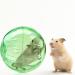 Totority Hamster Exercise Ball 3.9 Inch Transparent Hamster Ball Running Hamster Wheel for Dwarf Hamsters - Buy Online on GoSupps.com
