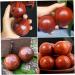 Buy Gatuida 4-Piece Solid Wood Massage Balls - Acupuncture Foot Massager & Meditation Tool | International Shipping Available - Buy Online on GoSupps.com