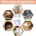 2 PCS Pet Water Bottle Automatic Hamster Water Bottle Rabbit Water Bottles 250ML/8.45OZ Non Drip Hanging Guinea Pig Water Bottle for Rabbit Guinea Pig Gerbil Chinchillas(Blue Pink) - Buy Online on GoSupps.com
