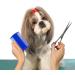 Molain Cat Dog Flea Comb 12 Pieces Flea Removal Grooming Comb Double Side - Buy Online on GoSupps.com