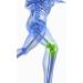 Top Doctors Labs OsteoplexMD - Premium Bone Health Supplement - Buy Online on GoSupps.com